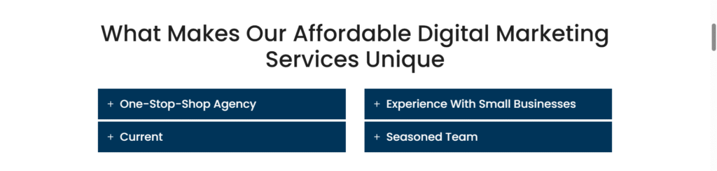 Affordable Digital Marketing Services for Small Businesses in 2025 2 Digital marketing services unique